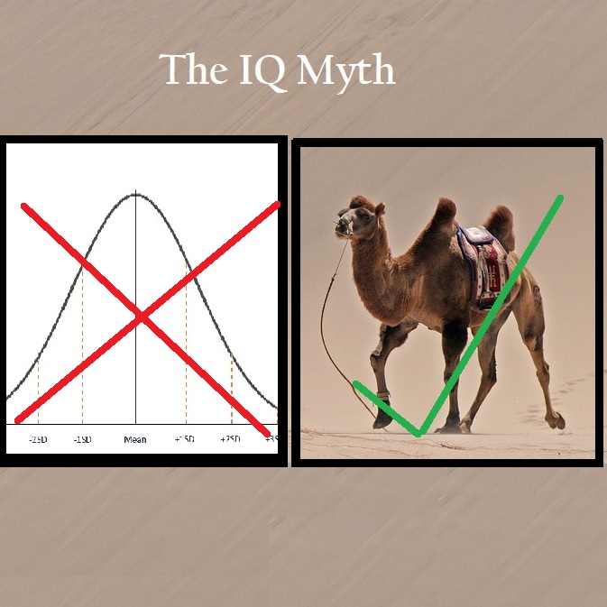 iq11